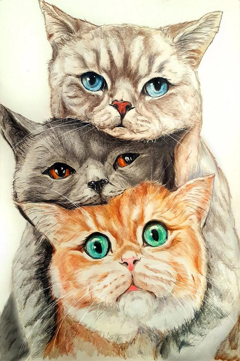 Paint by Numbers Kit Three Cats
