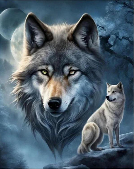 Paint by Numbers Kits Wolf