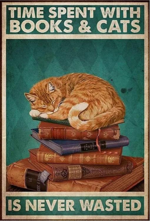 Paint by Numbers Kit Cat Poster