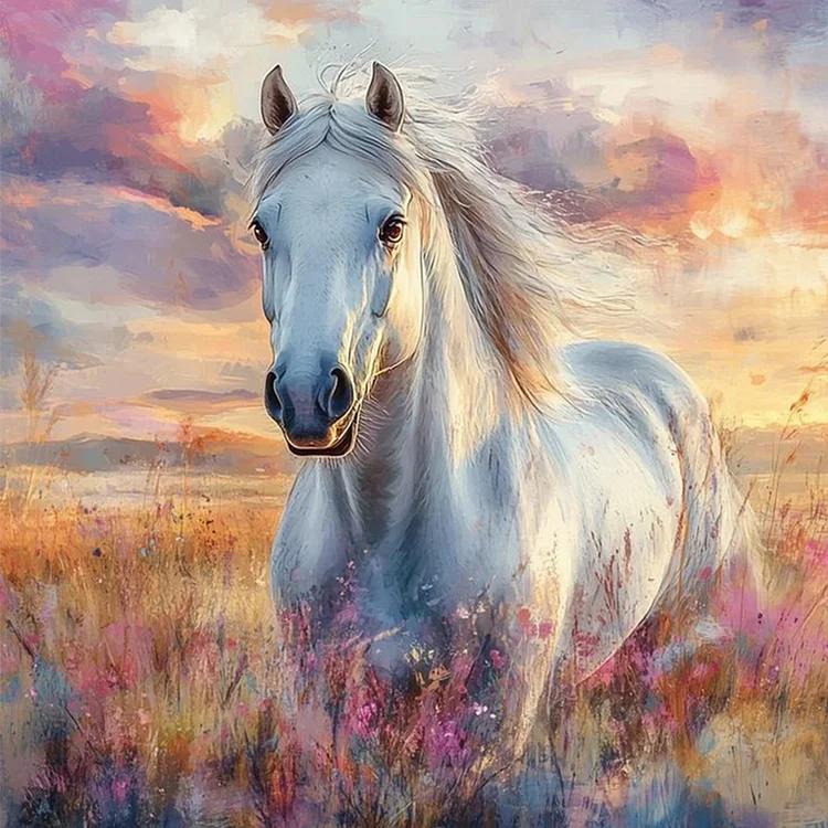 Paint by Numbers Kit Horse