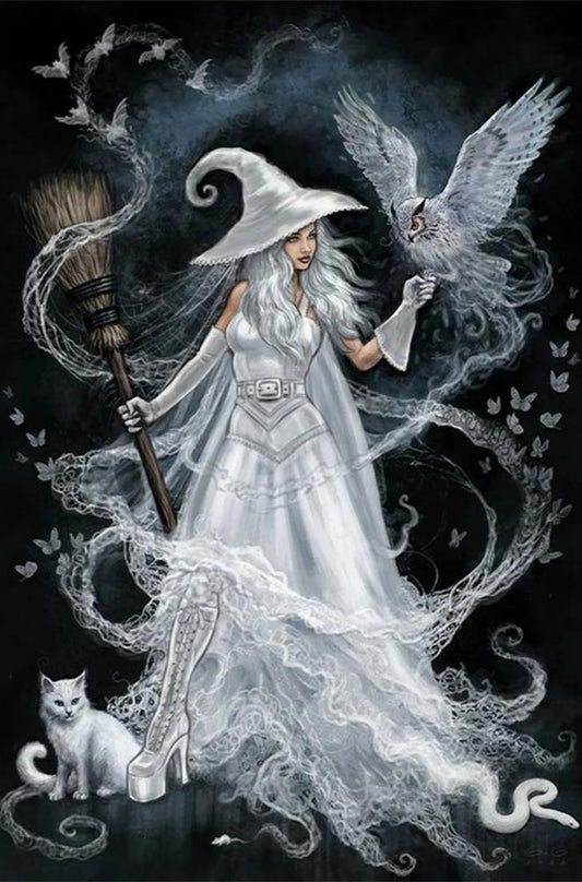 Paint by Numbers Kit Witch and Owl