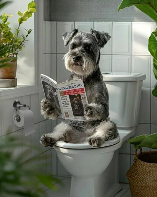 Paint by Numbers Kits The Dog Reading The Newspaper