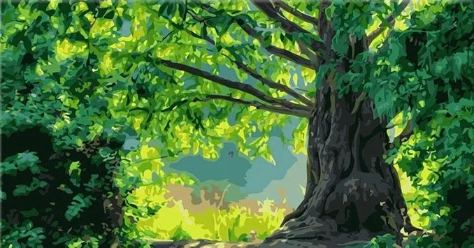 Paint by Numbers Kit Green Forest