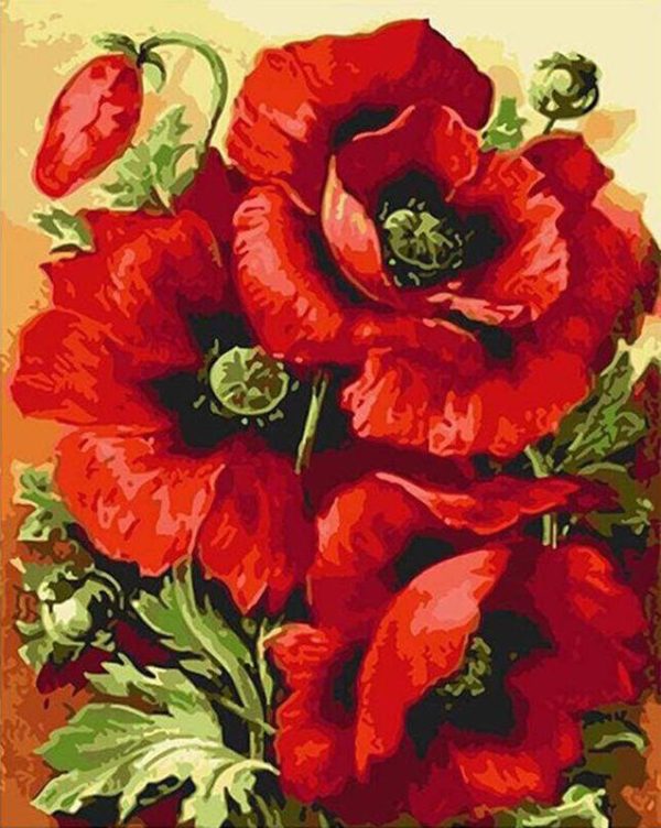 Paint by Numbers Kit Red Flowers