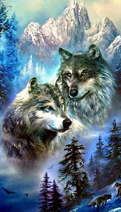 Paint by Numbers Kit Abstract Wolf