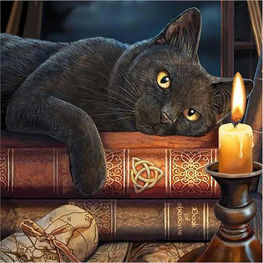 Paint by Numbers Kit Cat Lying On The Books