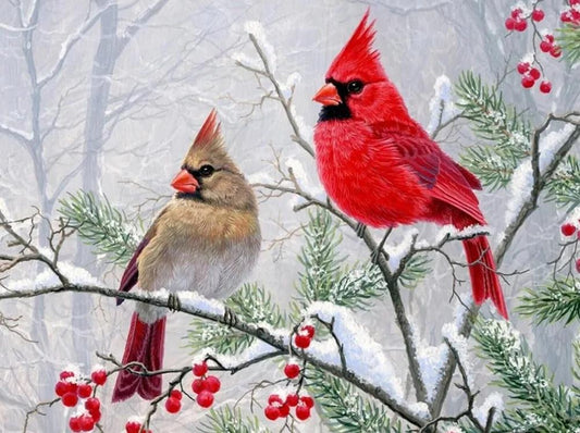 Paint by Numbers Kits Bird