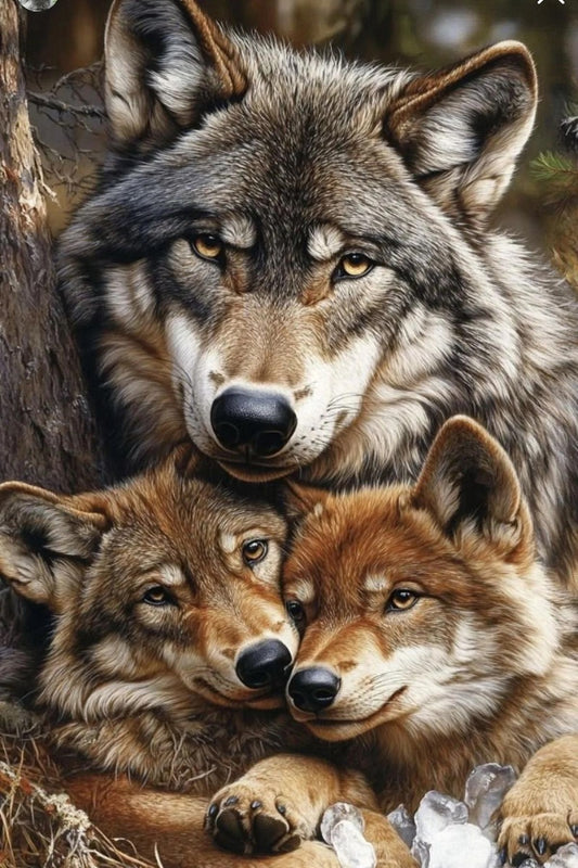 Paint by Numbers Kit Wolves