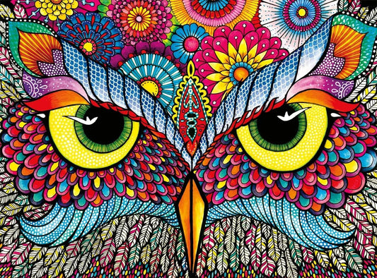 Paint by Numbers Kits Abstract Colorful Owl