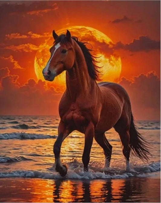 Paint by Numbers Kits Horse