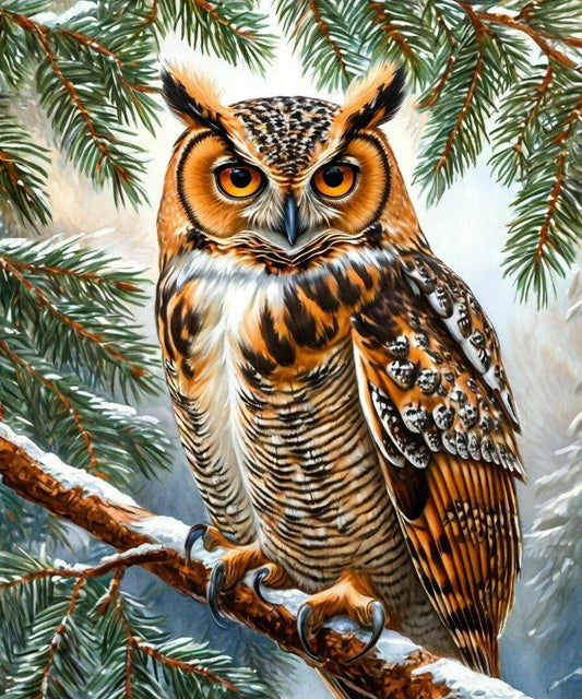 Paint by Numbers Kits Owl