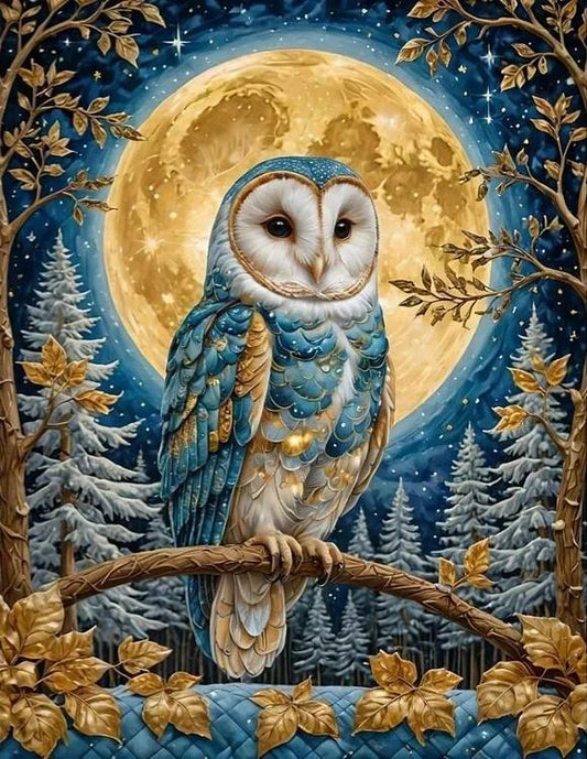 Paint by Numbers Kits Owl