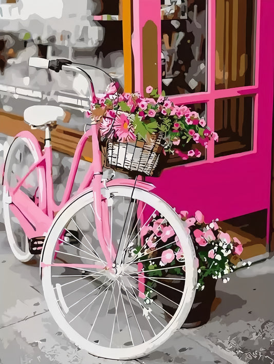 Paint by Numbers Kits Bike