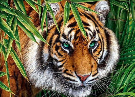 Paint by Numbers Kits Tiger