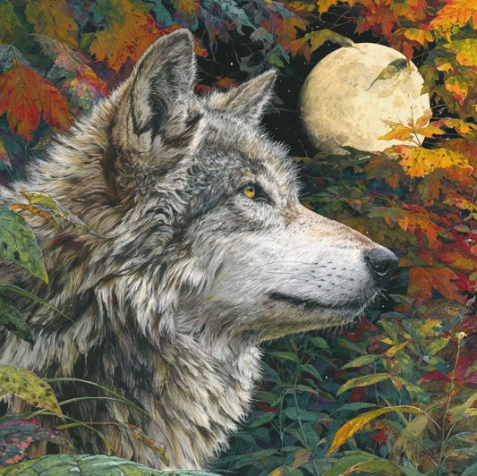 Paint by Numbers Kit Wolf