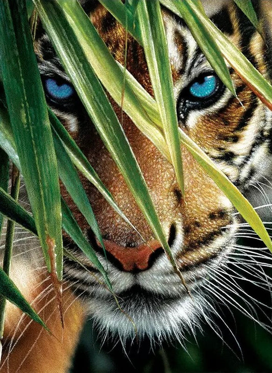 Paint by Numbers Kit Tiger