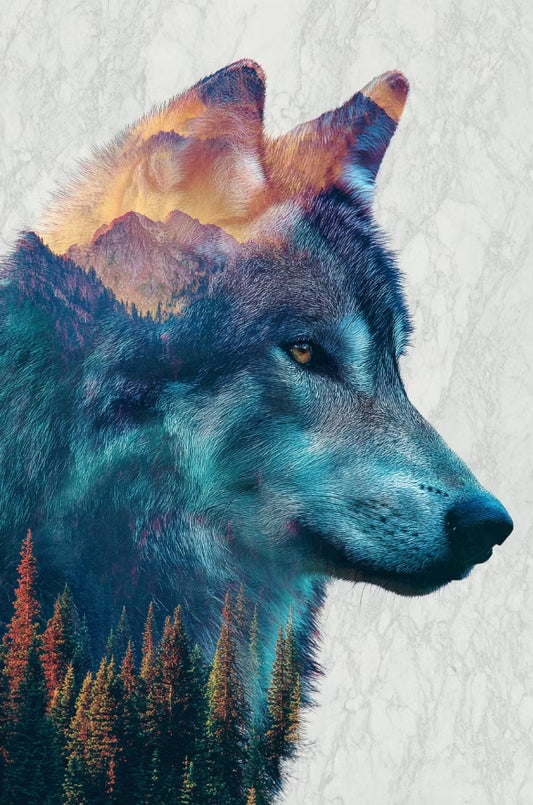 Paint by Numbers Kit Abstract Wolf