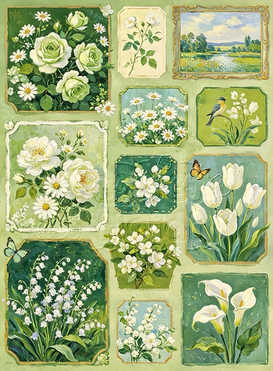 Paint by Numbers Kits Various flowers