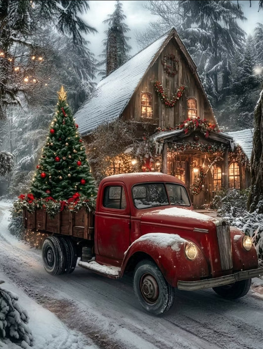 Paint by Numbers Kits Christmas
