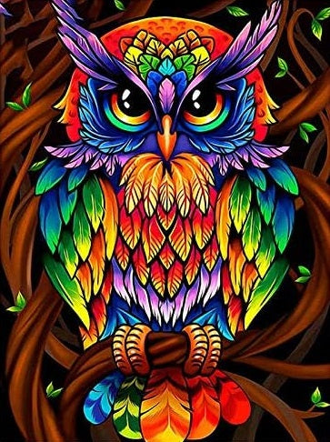 Paint by Numbers Kit Colorful Owl