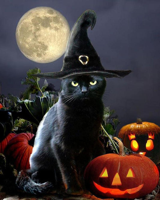 Paint by Numbers Kits Cat Wearing Witch Hat