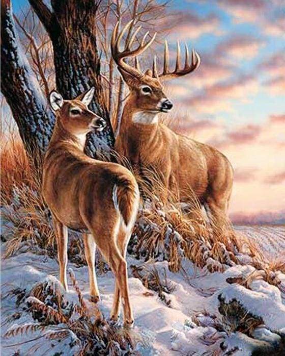 Paint by Numbers Kit Deers