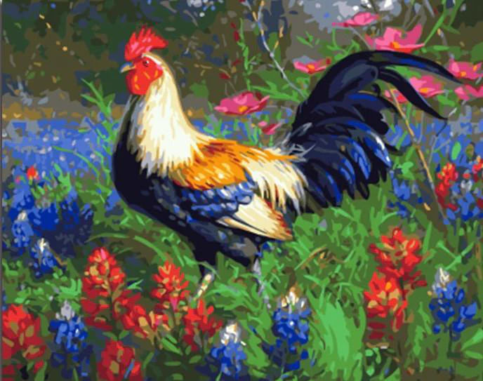 Paint by Numbers Kits Rooster