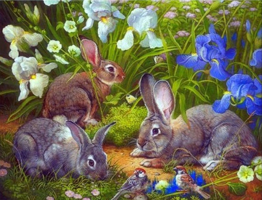 Paint by Numbers Kit Rabbits