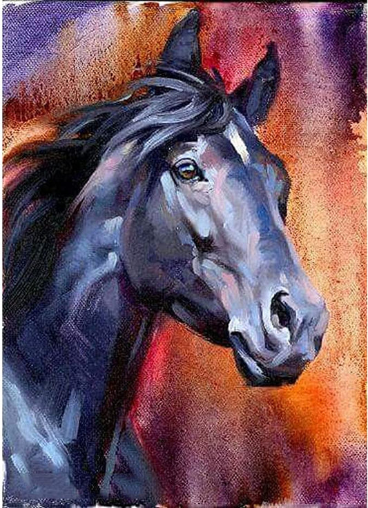 Paint by Numbers Kit Horse