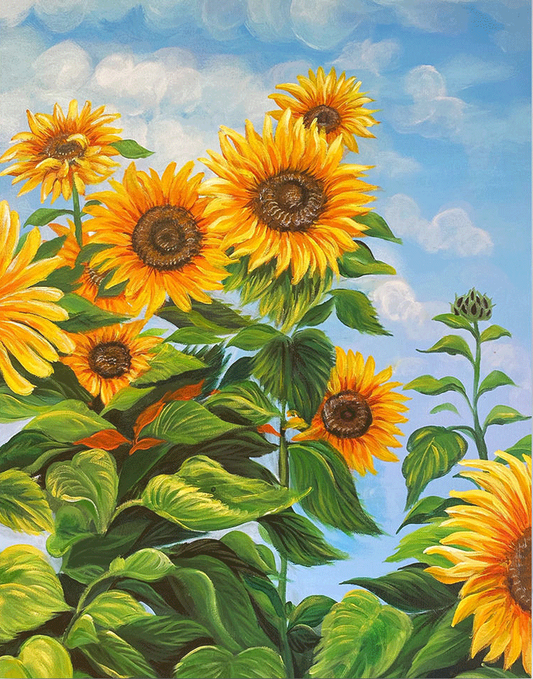 Paint by Numbers Kit Sunflower