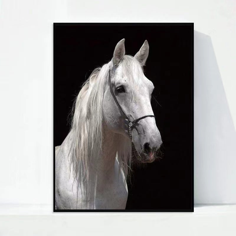 Paint by Numbers Kit White Horse
